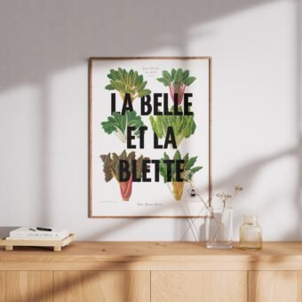 affiche la belle et la blette