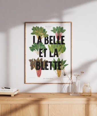 affiche la belle et la blette