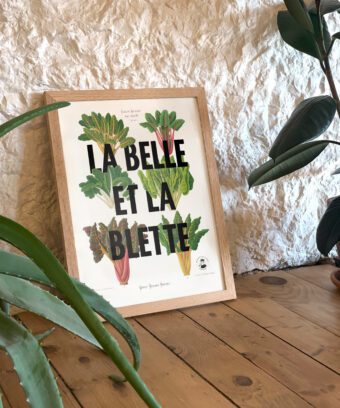 affiche la belle et la blette