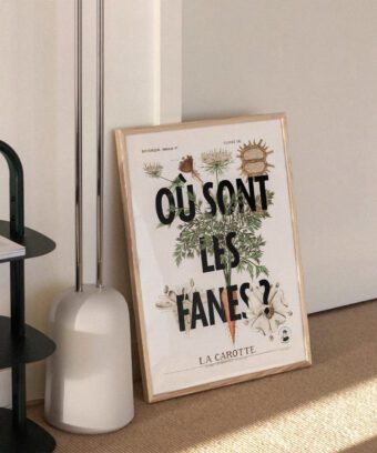 ou sont les fanes affiche