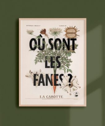 ou sont les fanes affiche