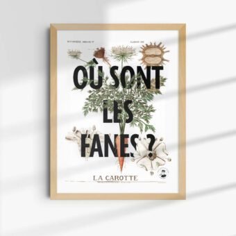 ou sont les fanes affiche