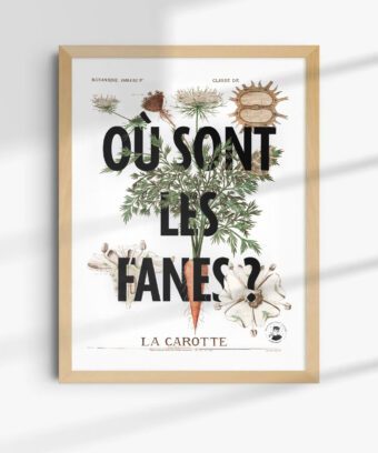 ou sont les fanes affiche ou sont les fanes affiche