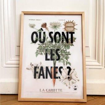 ou sont les fanes affiche