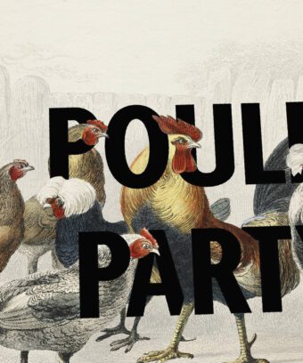 poules party affiche encyclopédie