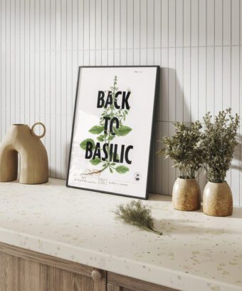 Back to basilic affiche topo Back to basilic affiche topo