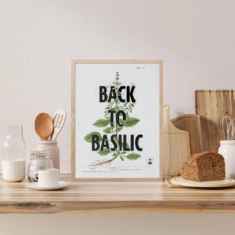 Back to basilic affiche topo