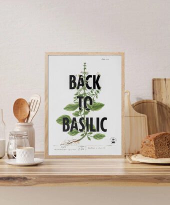 Back to basilic affiche topo Back to basilic affiche topo