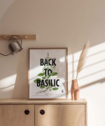Back to basilic affiche topo Back to basilic affiche topo