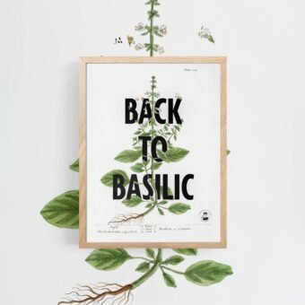 Back to basilic affiche topo