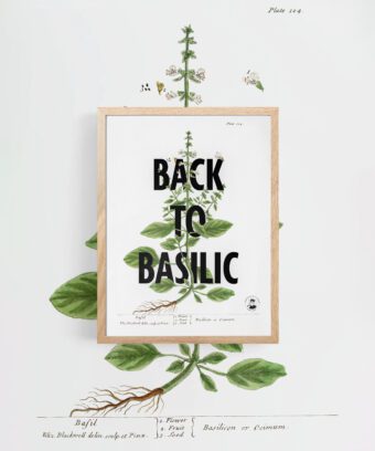 Back to basilic affiche topo