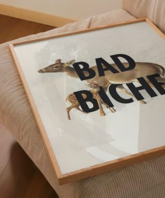 Bad biche poster