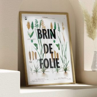affiche botanique topo Brin de folie