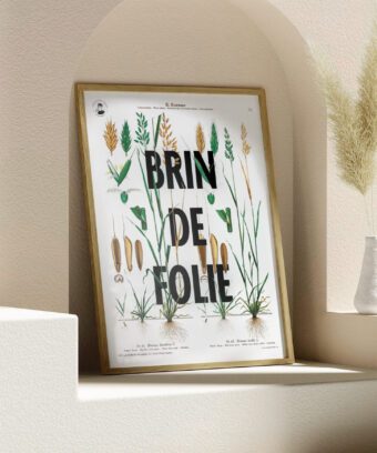 affiche botanique topo Brin de folie