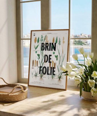 affiche botanique topo Brin de folie affiche botanique topo Brin de folie