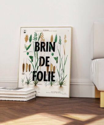 affiche botanique topo Brin de folie