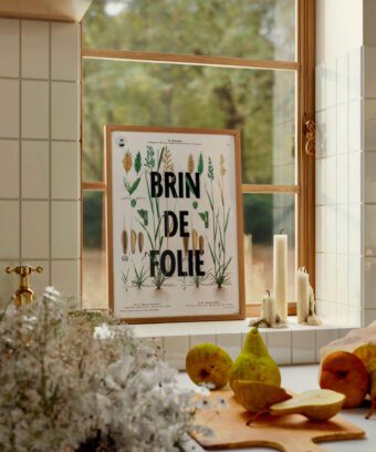 affiche botanique topo Brin de folie affiche botanique topo Brin de folie