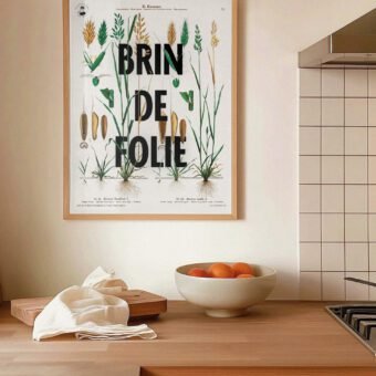 affiche botanique topo Brin de folie affiche botanique topo Brin de folie