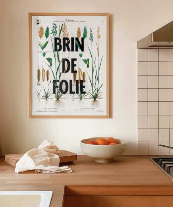 affiche botanique topo Brin de folie affiche botanique topo Brin de folie