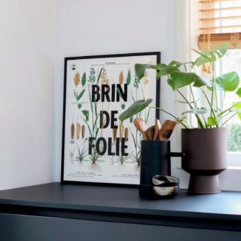 affiche botanique topo Brin de folie affiche botanique topo Brin de folie