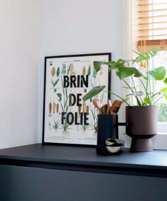 affiche botanique topo Brin de folie affiche botanique topo Brin de folie