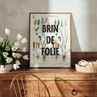 affiche botanique topo Brin de folie affiche botanique topo Brin de folie