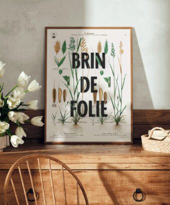 affiche botanique topo Brin de folie affiche botanique topo Brin de folie