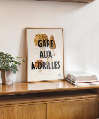affiche botanique Gare aux morilles affiche botanique Gare aux morilles