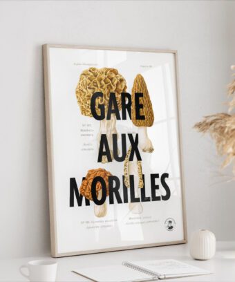 affiche botanique Gare aux morilles affiche botanique Gare aux morilles