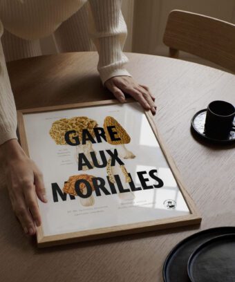 affiche botanique Gare aux morilles affiche botanique Gare aux morilles