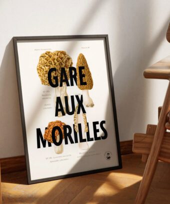 affiche botanique Gare aux morilles affiche botanique Gare aux morilles