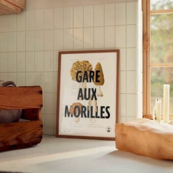 affiche botanique Gare aux morilles