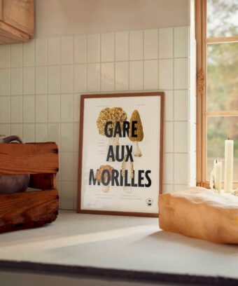 affiche botanique Gare aux morilles affiche botanique Gare aux morilles