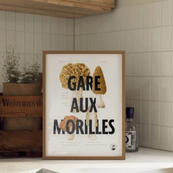 affiche botanique Gare aux morilles