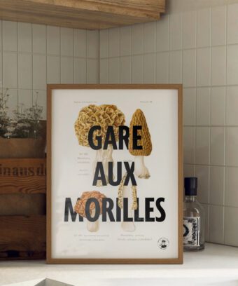 affiche botanique Gare aux morilles