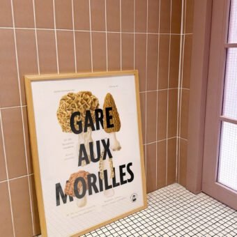 affiche botanique Gare aux morilles