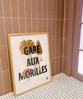 affiche botanique Gare aux morilles affiche botanique Gare aux morilles