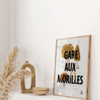 affiche botanique Gare aux morilles