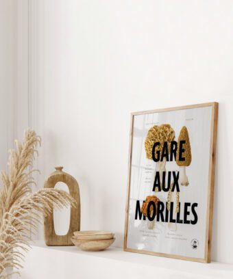 affiche botanique Gare aux morilles