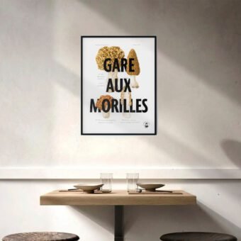 affiche botanique Gare aux morilles
