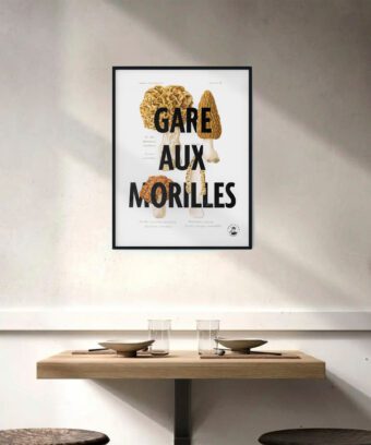 affiche botanique Gare aux morilles affiche botanique Gare aux morilles