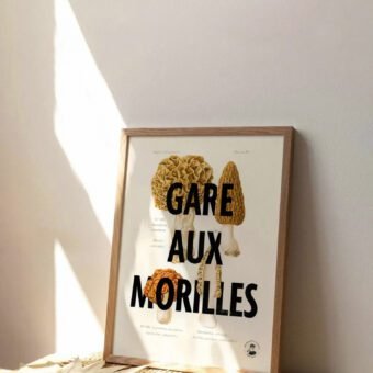 affiche botanique Gare aux morilles