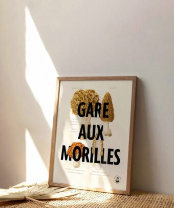 affiche botanique Gare aux morilles affiche botanique Gare aux morilles