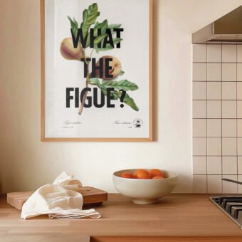 What the figue poster botanique