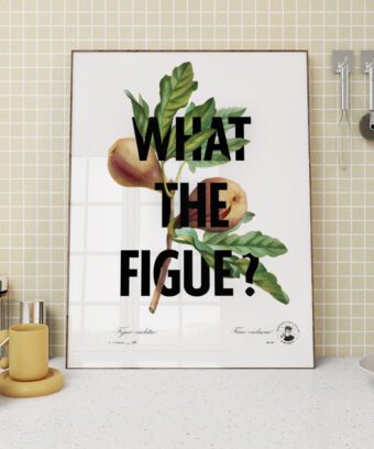 What the figue poster botanique