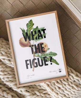 What the figue poster botanique