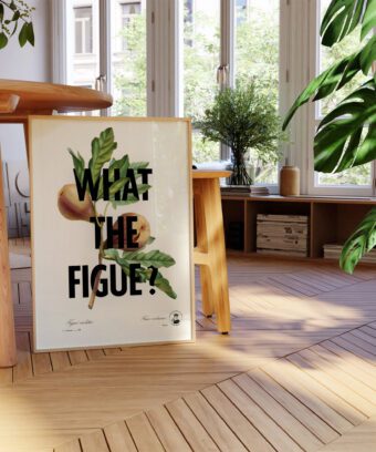 What the figue poster botanique What the figue poster botanique