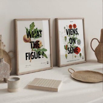 What the figue poster botanique