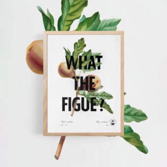 What the figue poster botanique