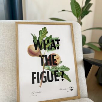 What the figue poster botanique